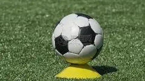 武汉体彩网 资讯 112940 bth