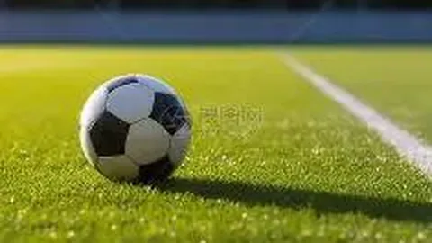 神秘之门：权限未达，探索之旅受阻！