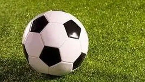 “揭秘2026012期大乐透：一区号码强势回归，独家预测不容错过！”