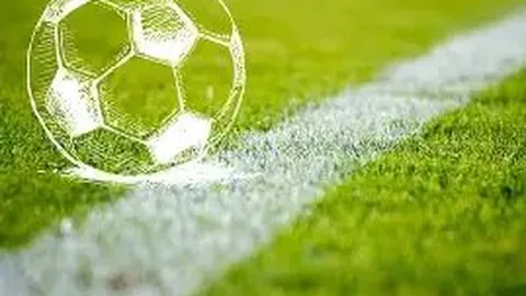 【揭秘】老胡子双色球第2026011期独家攻略：六红精选，08、14、15、25、28、33不容错过！